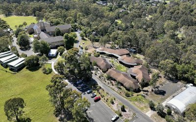 Roof Inspection – Looking for broken and cracked shingles